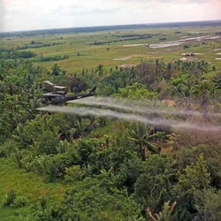 En UH-1D helikopter fra 336th Aviation Company sprøjter et afløvningsmiddel på et tæt jungleområde i Mekong-deltaet, 26. juli 1969